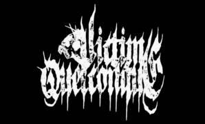 logo Victime Quelconque logo Victime Quelconque